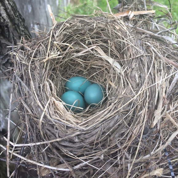 Follow Game, Like, Follow, Share, Repeat" - Picture 5 of 8